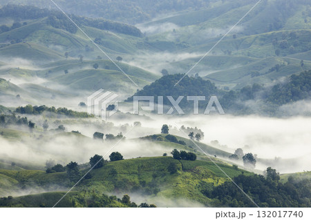 Landscape of Morning Mist with Mountain Layer. mountain ridge and clouds in rural jungle bush forest 132017740