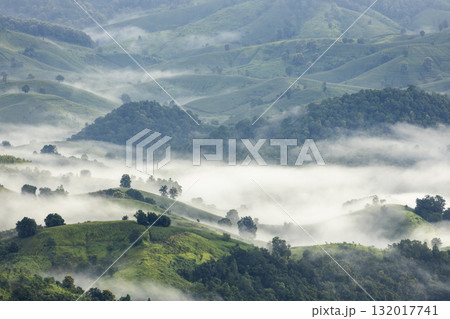Landscape of Morning Mist with Mountain Layer. mountain ridge and clouds in rural jungle bush forest 132017741