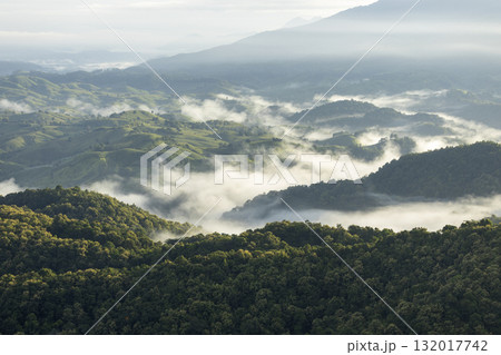 Landscape of Morning Mist with Mountain Layer. mountain ridge and clouds in rural jungle bush forest 132017742