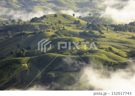 Landscape of Morning Mist with Mountain Layer. mountain ridge and clouds in rural jungle bush forest 132017743