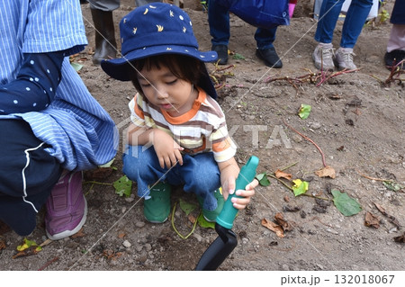 初めての芋ほり 初めての芋ほり 132018067