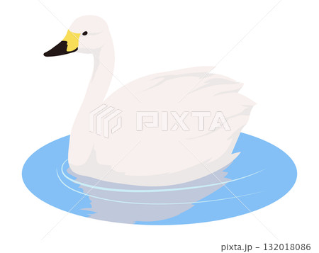 水に浮かぶ白鳥のイラスト 132018086