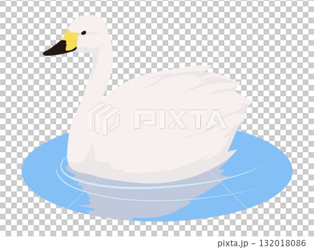 水に浮かぶ白鳥のイラスト 132018086