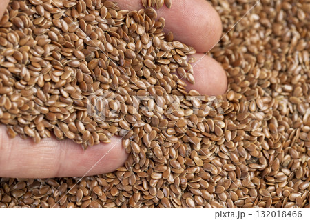 flax seeds for sowing, a large number of light flax seeds for a new crop or germination for nutrition flax seeds for sowing, a large number of light flax seeds for a new crop or germination for nutrition 132018466