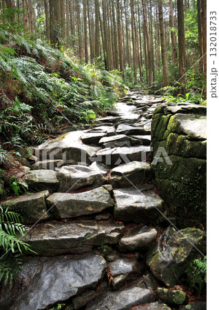 馬越峠越えの道(紀北町側)　【三重県紀北町】 132018733