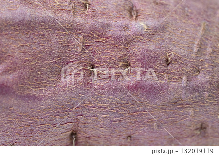 さつまいもの皮のテクスチャ さつまいもの皮のテクスチャ 132019119