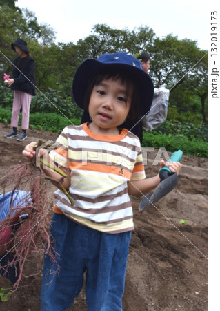 初めての芋ほり 初めての芋ほり 132019173