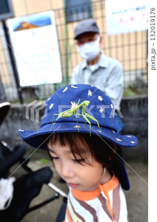 幼児の帽子とカマキリ 幼児の帽子とカマキリ 132019176