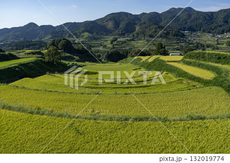 尾戸の口棚田　高千穂町 132019774