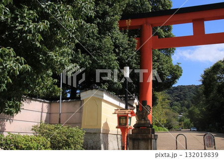 京都・八坂神社の東北門から見た円山公園 132019839