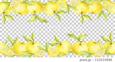 Yellow yuzu fruits with bright green leaves arranged in a decorative border painted as watercolor clipart, hand drawn design. Works well for packaging, textiles, kitchen stationery and wrapping. 132019986