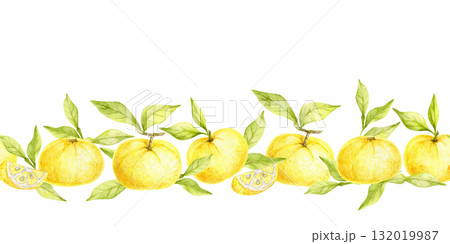 Botanical row of yellow yuzu fruits with green leaves painted as watercolor clipart, hand drawn border design. Can be used for kitchen labels, recipe cards, wrapping paper and cosmetic packaging. 132019987