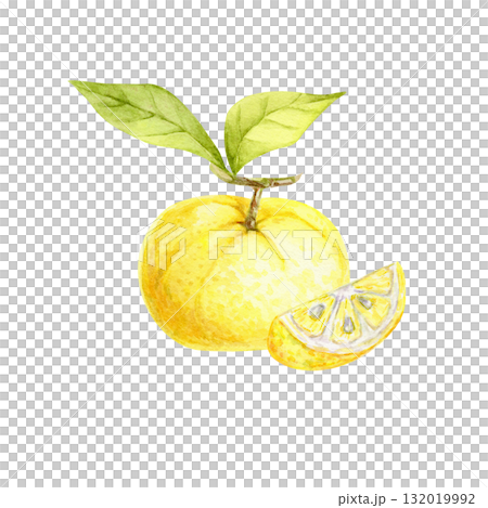 Yellow yuzu fruit with slice and green leaves in watercolor clipart, hand drawn botanical illustration for use in labels, fabric prints, invitations, recipe books, product packaging and stationery. 132019992
