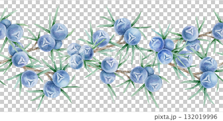 Clusters of blue juniper berries with spiky green leaves arranged in continuous border painted as hand drawn watercolor clipart. Excellent for card edges, textile trims, eco packaging and wrapping. Clusters of blue juniper berries with spiky green leaves arranged in continuous border painted as hand drawn watercolor clipart. Excellent for card edges, textile trims, eco packaging and wrapping. 132019996