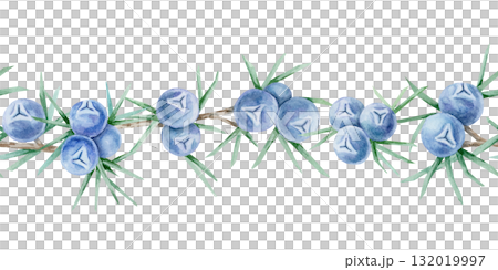 Horizontal seamless border of blue juniper berries and green foliage created as hand drawn watercolor clipart. Perfect for card frames, stationery design, fabric trims and wrapping decoration. Horizontal seamless border of blue juniper berries and green foliage created as hand drawn watercolor clipart. Perfect for card frames, stationery design, fabric trims and wrapping decoration. 132019997