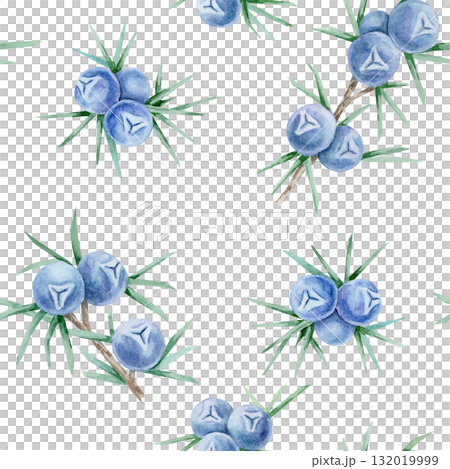 Blue juniper berry sprigs with needle leaves repeated in scattered seamless layout painted as hand drawn watercolor clipart. Ideal for wrapping paper, packaging, stationery and fabric printing. Blue juniper berry sprigs with needle leaves repeated in scattered seamless layout painted as hand drawn watercolor clipart. Ideal for wrapping paper, packaging, stationery and fabric printing. 132019999
