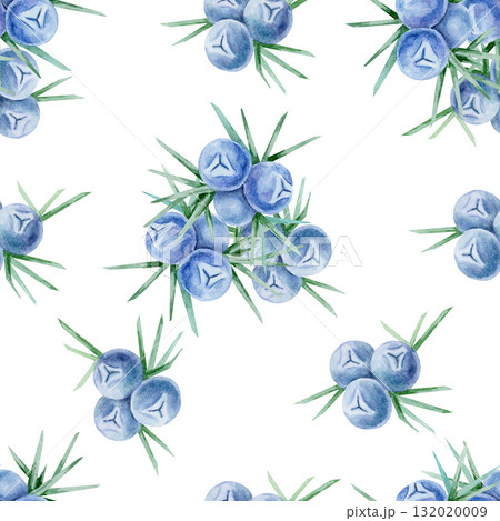 Blue juniper berry clusters with thin needle leaves repeated on light background in hand drawn watercolor clipart seamless pattern. Perfect for digital paper, fabric, packaging and scrapbooking. Blue juniper berry clusters with thin needle leaves repeated on light background in hand drawn watercolor clipart seamless pattern. Perfect for digital paper, fabric, packaging and scrapbooking. 132020009