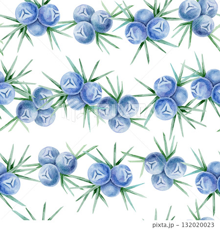 Horizontal rows of blue juniper berries and spiky green leaves in watercolor clipart, hand drawn seamless border design. Perfect for fabric trims, card edges, stationery and wrapping paper. Horizontal rows of blue juniper berries and spiky green leaves in watercolor clipart, hand drawn seamless border design. Perfect for fabric trims, card edges, stationery and wrapping paper. 132020023
