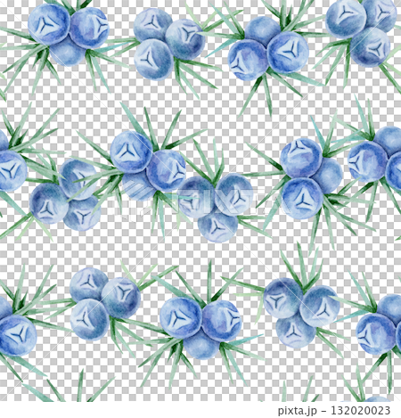 Horizontal rows of blue juniper berries and spiky green leaves in watercolor clipart, hand drawn seamless border design. Perfect for fabric trims, card edges, stationery and wrapping paper. Horizontal rows of blue juniper berries and spiky green leaves in watercolor clipart, hand drawn seamless border design. Perfect for fabric trims, card edges, stationery and wrapping paper. 132020023