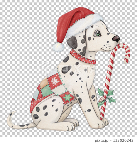 Patchwork Style Dogs Santa Hat Cristmas Day Clipart White Background Patchwork Style Dogs Santa Hat Cristmas Day Clipart White Background 132020242