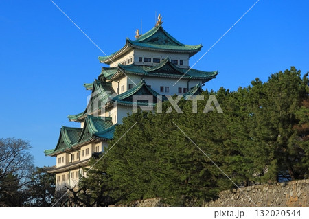青空に映える名古屋城 《愛知》 青空に映える名古屋城 《愛知》 132020544