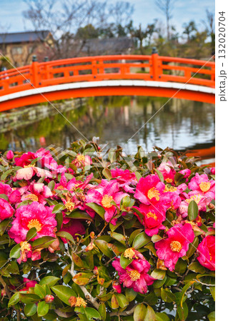 京都　神泉苑　法成橋（京都府京都市中京区） 132020704