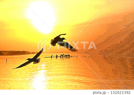 水鳥の戯れる霞ケ浦の初日の出 水鳥の戯れる霞ケ浦の初日の出 132021392