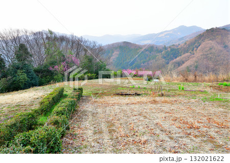 花桃の咲くころ 里地の風景 東秩父村 大内沢 花桃の咲くころ 里地の風景 東秩父村 大内沢 132021622