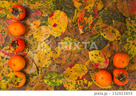 落ち葉のフレーム 落ち葉のフレーム 132021655