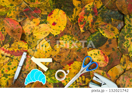 落ち葉のフレーム 132021742