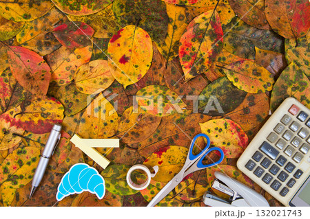 落ち葉のフレーム 132021743