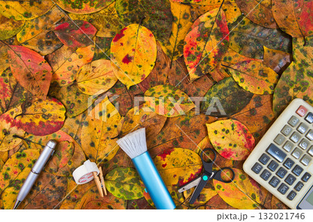 落ち葉のフレーム 132021746