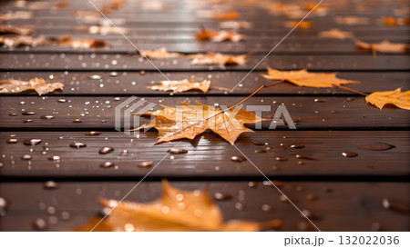 Golden autumn leaves resting on wooden deck after gentle rainfall in serene setting Golden autumn leaves resting on wooden deck after gentle rainfall in serene setting 132022036