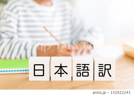 日本語訳のブロックと勉強をする小学生の男の子 132022241