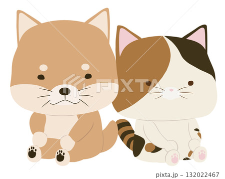 柴犬と三毛猫 柴犬と三毛猫 132022467