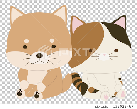 Shiba Inu and calico cat Shiba Inu and calico cat 132022467