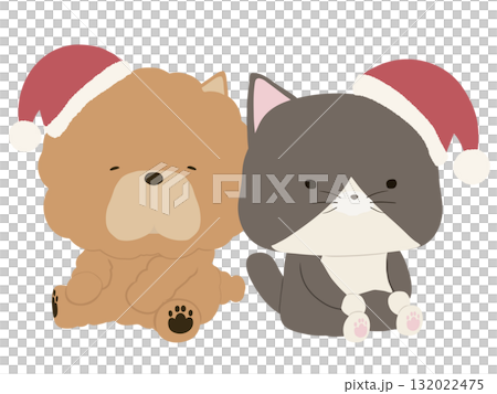 Chow Chow and calico cat wearing Santa hats 132022475