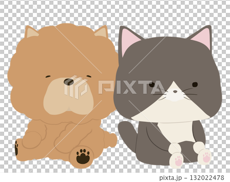 鬆獅犬和三色貓 132022478