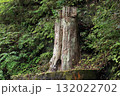 根反の大珪化木 132022702