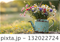 Rustic Flower Vase in Sunlit Garden.Turquoise watering can with wildflowers on grass, glowing in warm sunlight. Perfect for spring, nature, and romantic themes. Rustic Flower Vase in Sunlit Garden.Turquoise watering can with wildflowers on grass, glowing in warm sunlight. Perfect for spring, nature, and romantic themes. 132022724