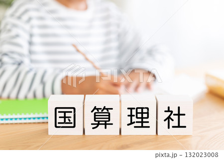 国語算数理科社会のブロックと勉強をする小学生の男の子 国語算数理科社会のブロックと勉強をする小学生の男の子 132023008