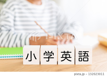小学英語のブロックと勉強をする小学生の男の子 132023011