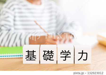 基礎学力のブロックと勉強をする小学生の男の子 132023012