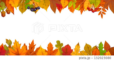 Autumn fall season leaves, berries and acorns border frame. Happy Thanksgiving day template with fall foliage and berries on top and bottom. Cartoon vector horizontal blank for seasonal celebrations Autumn fall season leaves, berries and acorns border frame. Happy Thanksgiving day template with fall foliage and berries on top and bottom. Cartoon vector horizontal blank for seasonal celebrations 132023080