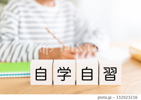 自学自習のブロックと勉強をする小学生の男の子 132023216