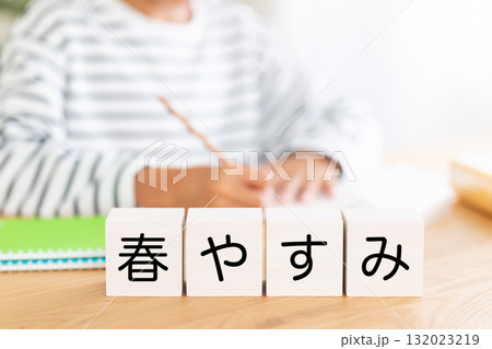春休みのブロックと勉強をする小学生の男の子 春休みのブロックと勉強をする小学生の男の子 132023219