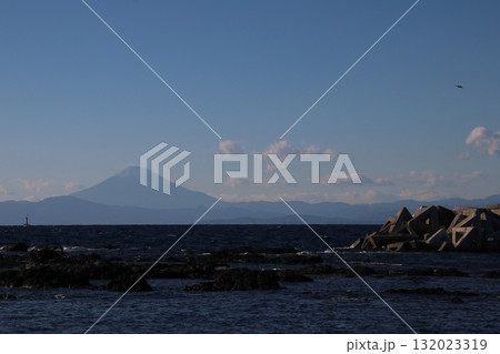 長井荒井漁港 長井荒井漁港 132023319