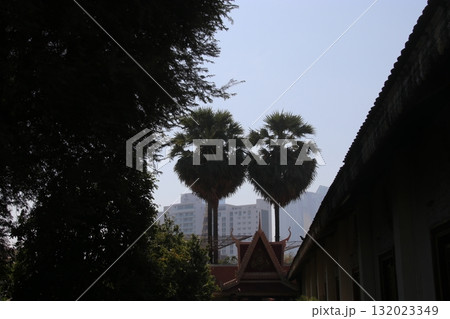 王宮の入口 132023349