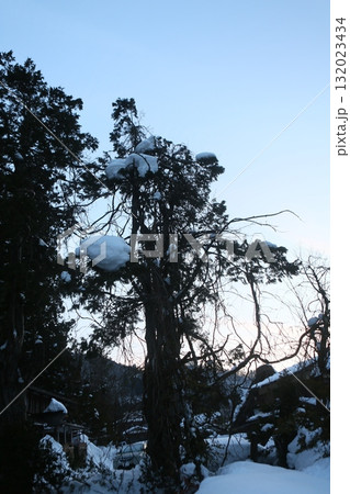 冬 ウインター ウィンター 132023434