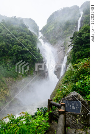 称名滝とハンノキ滝　雨の日の大瀑布　富山県 132023481
